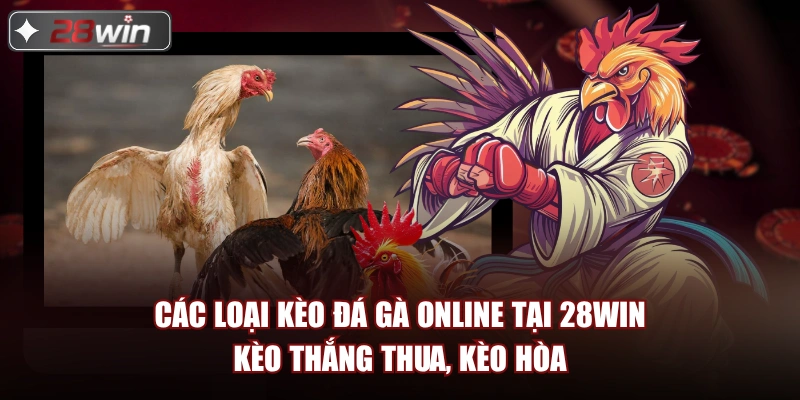 Các loại kèo đá gà online tại 28win kèo thắng thua, kèo hòa