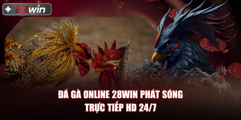 Đá gà online 28win phát sóng trực tiếp HD 24/7