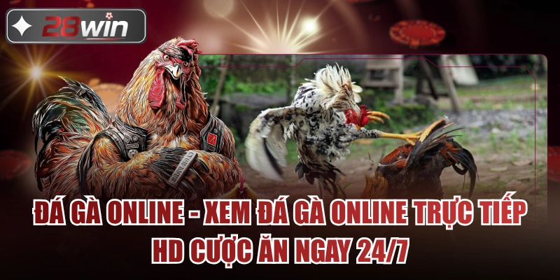 Đá Gà Online - Xem Đá Gà Online Trực Tiếp HD Cược Ăn Ngay 24/7