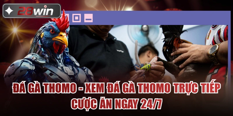 Đá Gà Thomo - Xem Đá Gà Thomo Trực Tiếp Cược Ăn Ngay 24/7