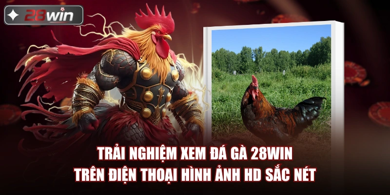 Trải nghiệm xem đá gà 28win trên điện thoại hình ảnh HD sắc nét Trải nghiệm xem đá gà 28win trên điện thoại hình ảnh HD sắc nét